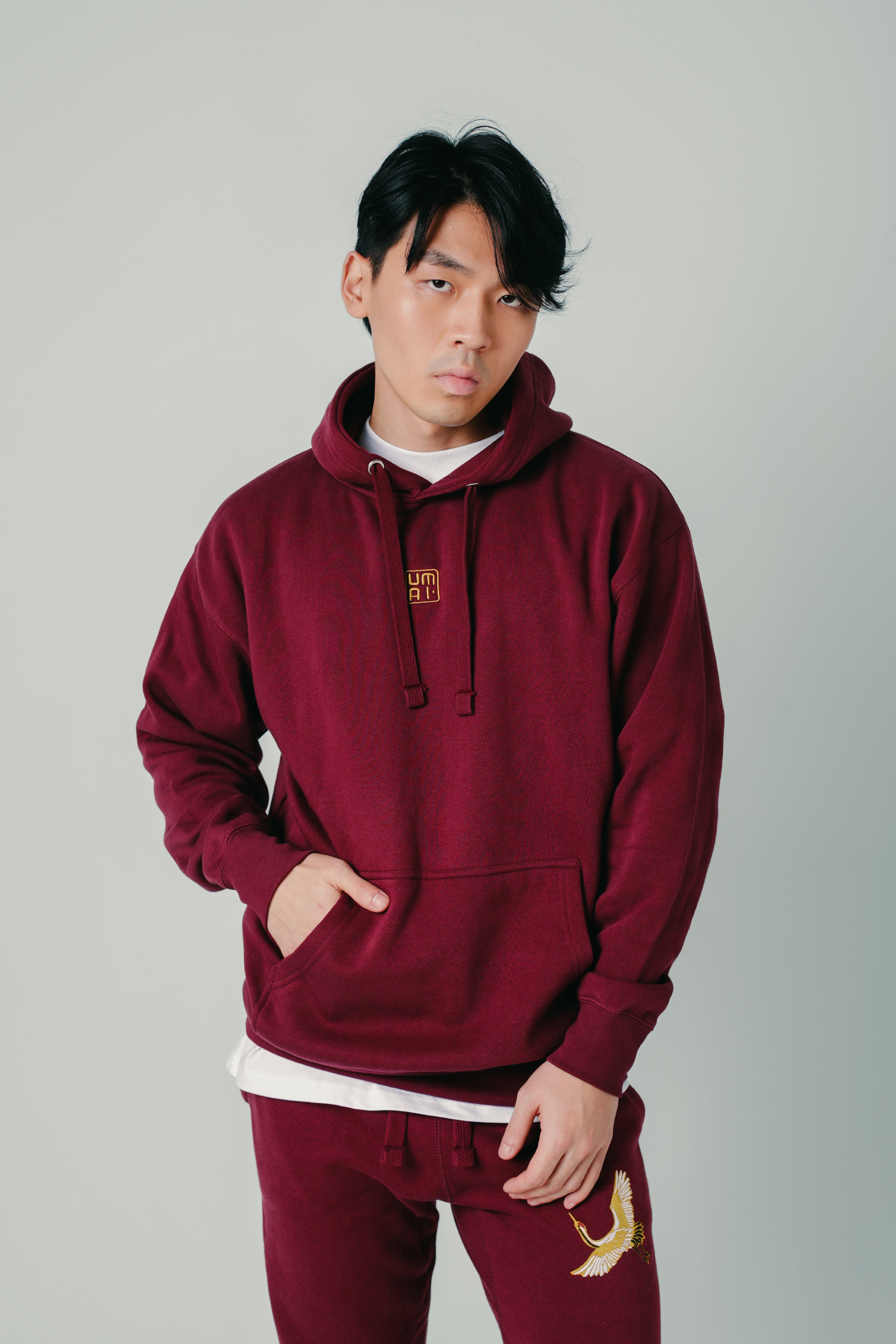 GOLDEN FLIGHT • Hoodie