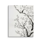White Blossom • Canvas