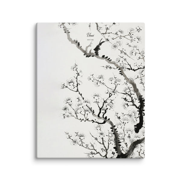 White Blossom • Canvas